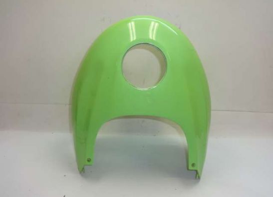 Tankschutz BMW F 650