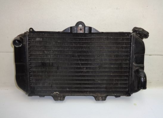 Radiator Yamaha TDM