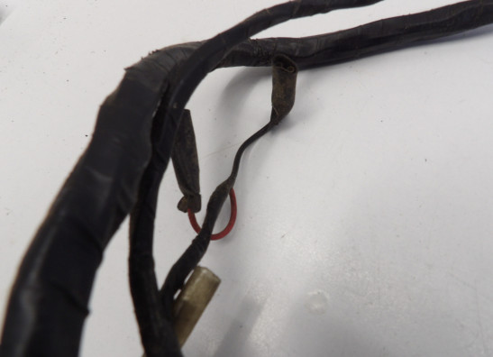 Wire Harness Kawasaki ZX 10 R