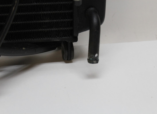 Radiateur Yamaha FZR 750 R OWO1