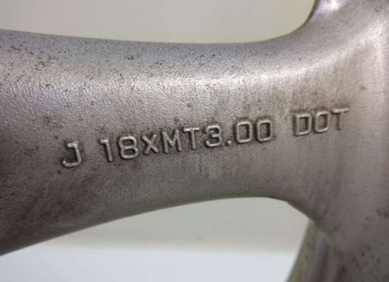 Voorvelg Suzuki VX 800