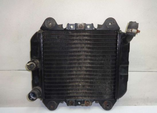 Kuhler Kawasaki ZZR 250