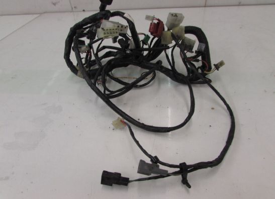Wire Harness Kawasaki ZZR 250