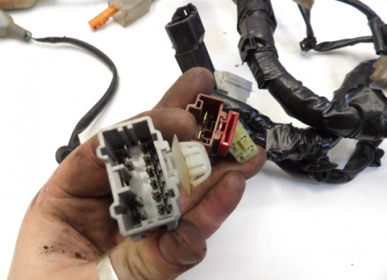 Kabelboom Honda CBR 600 F