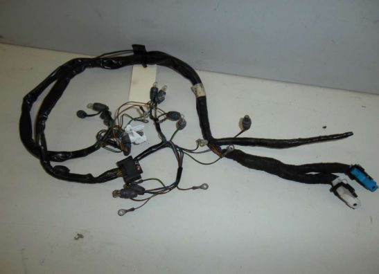 Kabelboom voor BMW K 1200 RS