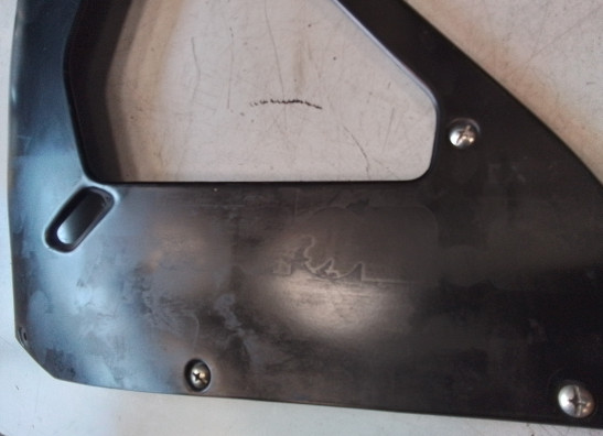 Linker zijkuip Aprilia RSV 1000