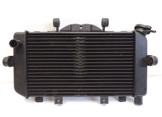 Radiator Yamaha TDM