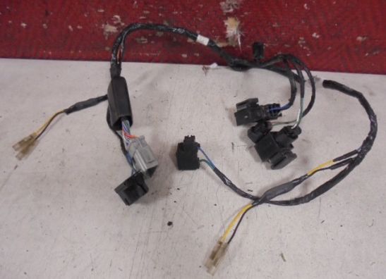 Wire harness front Honda CBR 600 F