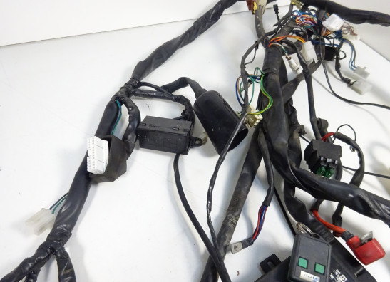 Kabelboom Aprilia RSV 1000