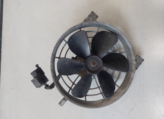 Fan Aprilia RSV 1000