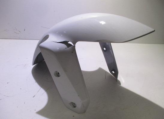 Front fender BMW R 1250 RS