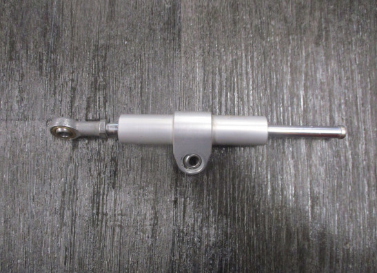 Stuurdemper BMW F 900 R