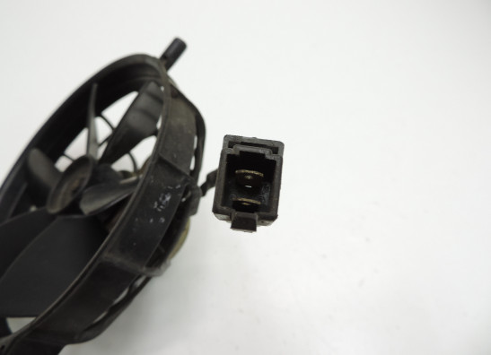 Fan Aprilia RSV 1000