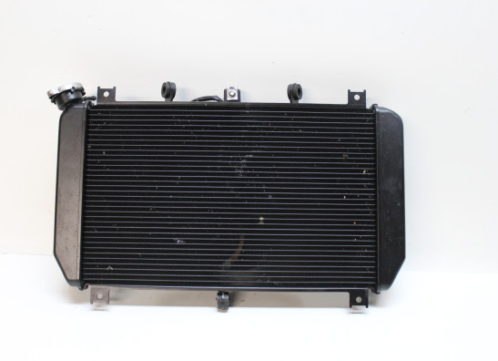 Radiator Kawasaki Z 900