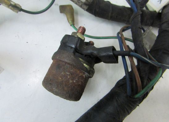 Kabelbaum Yamaha TDM