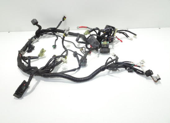 Kabelbaum KTM 1290 Super duke