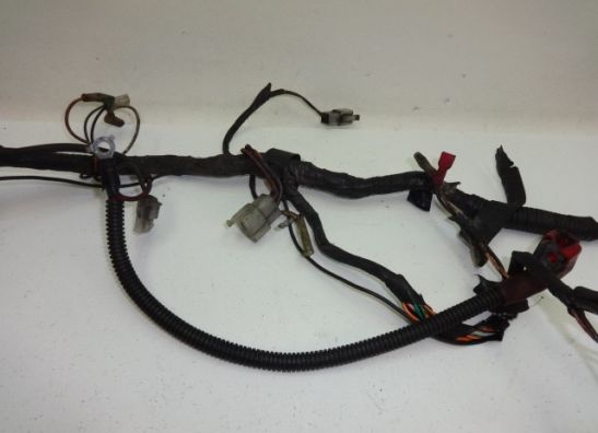 Kabelbaum Suzuki VX 800