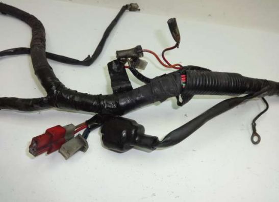 Kabelboom Yamaha XJ 900 S Diversion