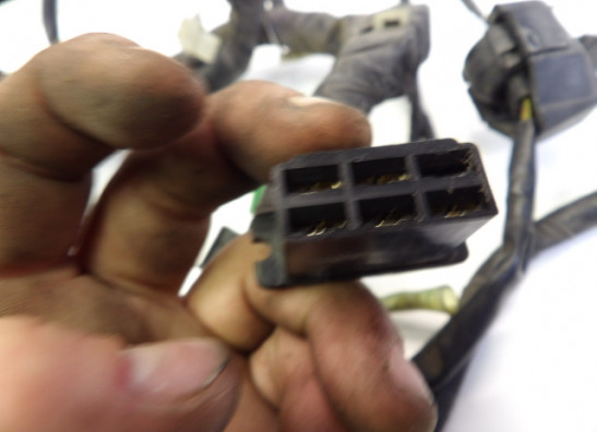 Wire Harness Honda CB 1000 F