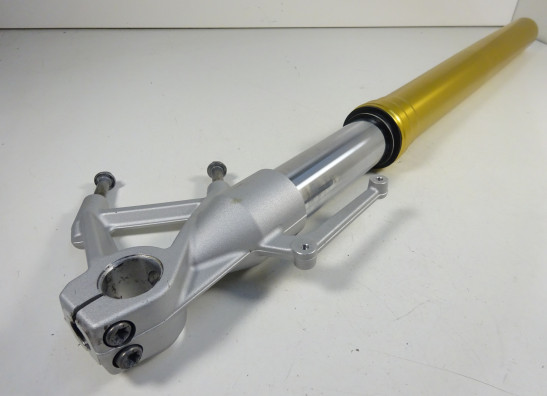 Standrohr Gabelholm rechts komplett BMW R 1200 R