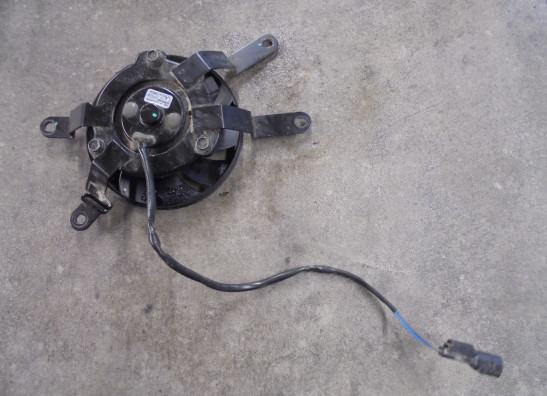 Fan Triumph Tiger 660 Sport