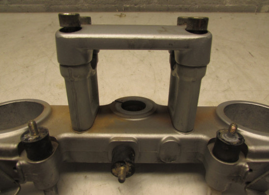 Kroonplaat Ducati monster 900