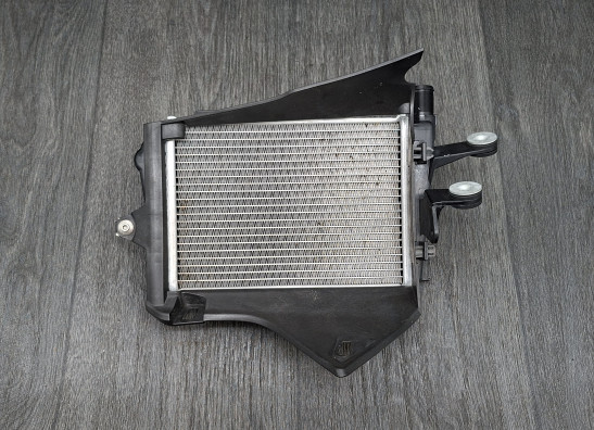 Kuhler BMW R 1250 GS Adventure