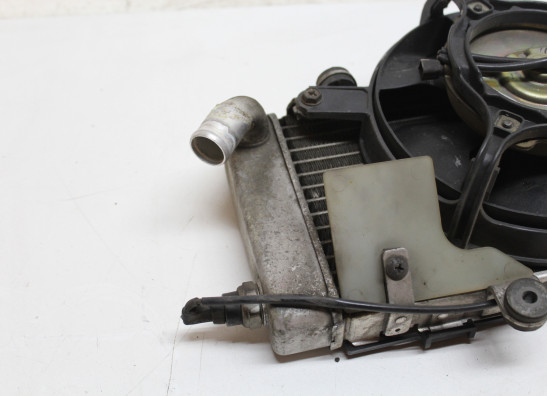 Radiateur Honda XL 1000 V Varadero