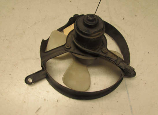 Fan Honda Goldwing GL