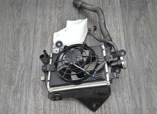 Radiateur BMW R 1250 GS