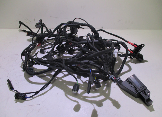 Kabelboom BMW R 1250 RS