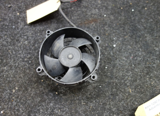 Fan KTM 1290  Super Adventure