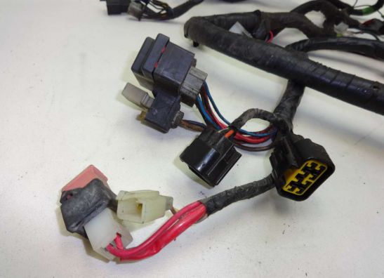 Wire Harness Yamaha XJ 900 S Diversion