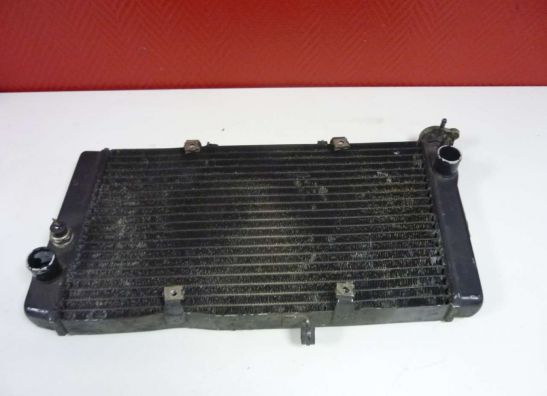Radiator Honda CBR 1100 XX