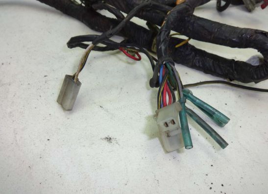 Kabelbaum Kawasaki GTR 1000