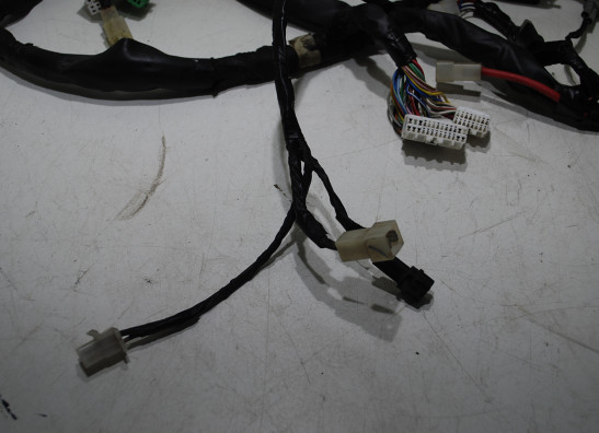 Kabelboom Yamaha GTS 1000