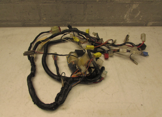 Wire Harness Yamaha V max