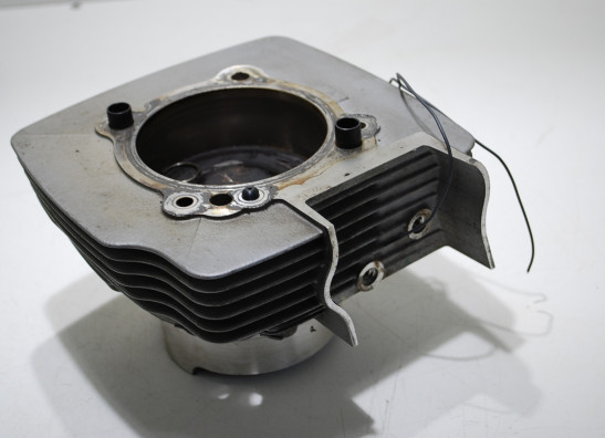 Cilinderblok Ducati monster 1100