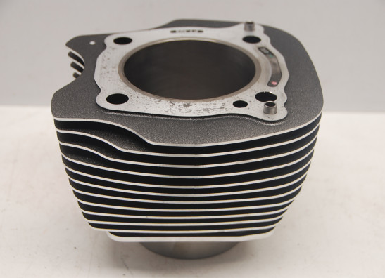 Cilinderblok Harley Davidson Softtail
