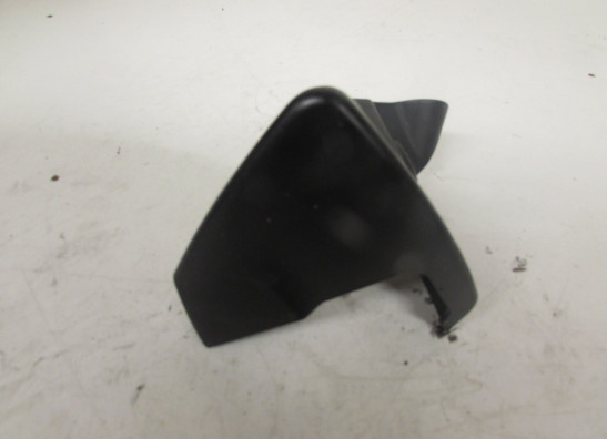 Sonstiges Aprilia Tuono 1000