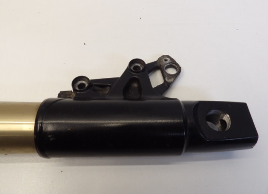 Standrohr Gabelholm links komplett BMW R 1200 GS