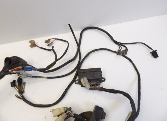 Kabelboom Yamaha YZF 1000 Thunderace