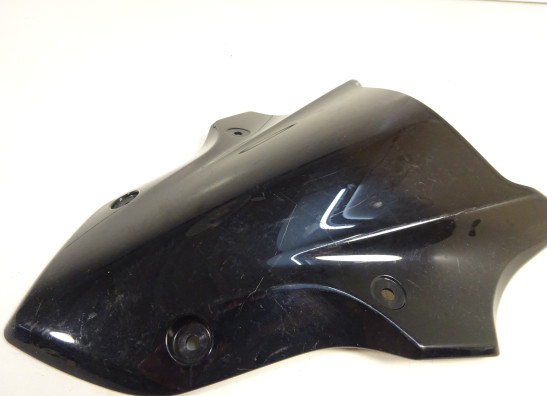 Windscherm Kawasaki Z 900