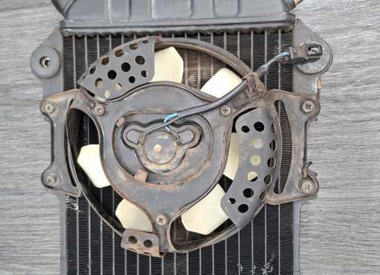 Radiateur Kawasaki VN 700  750