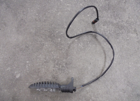 Blinker hinten rechts BMW R 1250 R