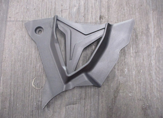 Motorblokdeksel voortandwiel BMW M 1000 RR 2021-2022