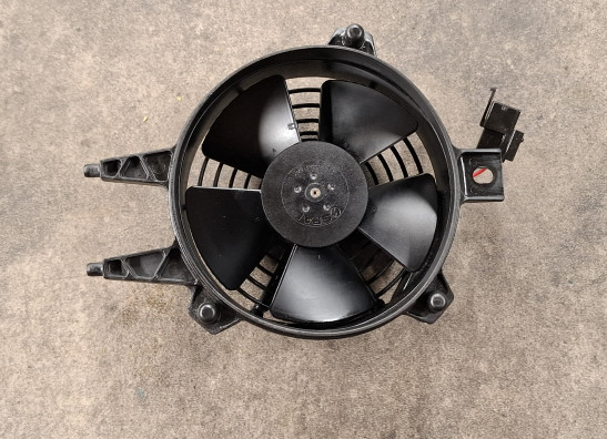 Fan KTM 690 SMC