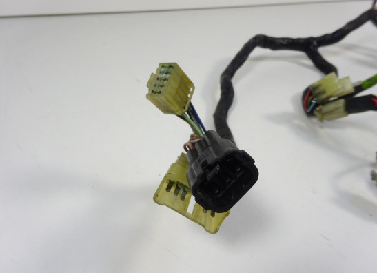 Wire harness front Yamaha FJR 1300