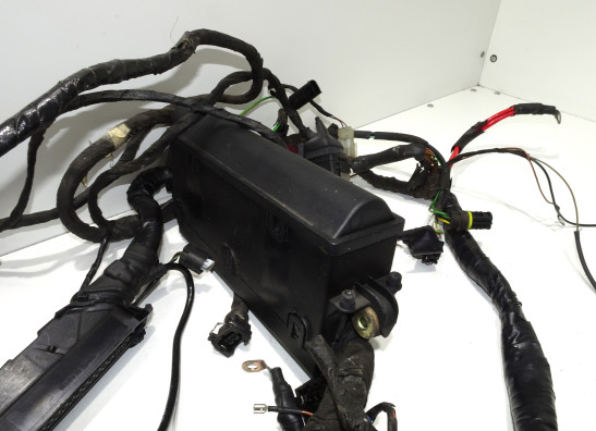 Kabelboom BMW R 1100 S