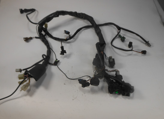 Wire Harness Aprilia Caponord 1000